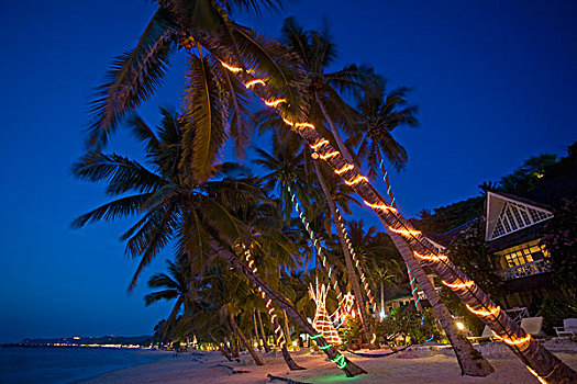 阿克兰,菲律宾,亮灯,棕榈树,海滩