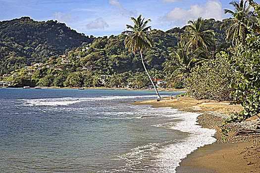 特立尼达和多巴哥,多巴哥岛,岛屿,东海岸