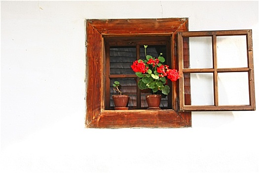 乡村,窗户,红花,容器
