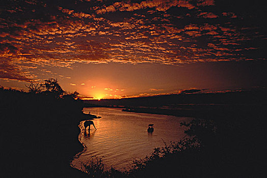 日落,上方,乔贝,河,博茨瓦纳,南非