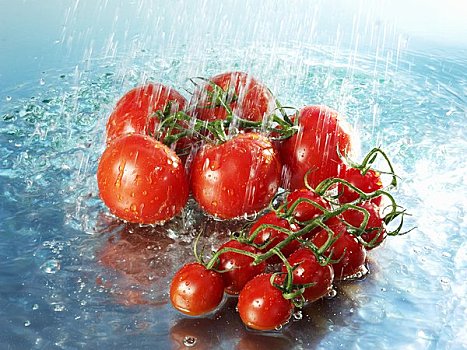 西红柿,水