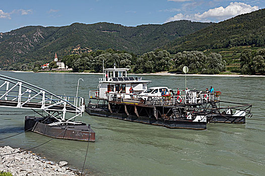 车辆渡船,多瑙河,线缆,渡轮,瓦绍,下奥地利州,奥地利,欧洲