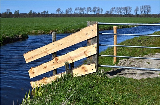 围栏,草场,荷兰