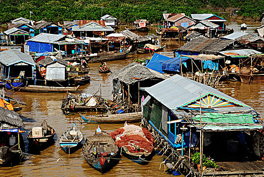 船,漂浮,乡村,树液,湖,靠近,收获,柬埔寨,东南亚,亚洲