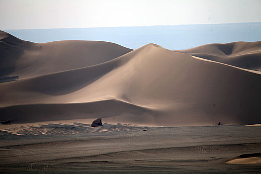 沙丘曲线,西北干旱区贡献的美景