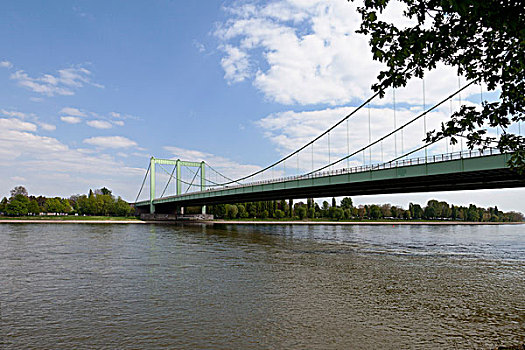 高速公路,桥,上方,莱茵河,区域,科隆,北莱茵-威斯特伐利亚,德国,欧洲