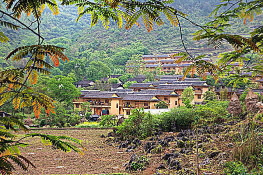 贵州荔波县大瑶山