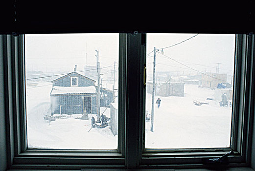 看,室外,房子,孤单,雪,暴风雪,阿拉斯加,美国