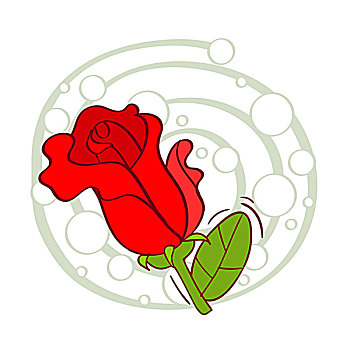 插画,红玫瑰