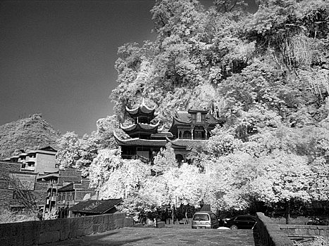 雪景