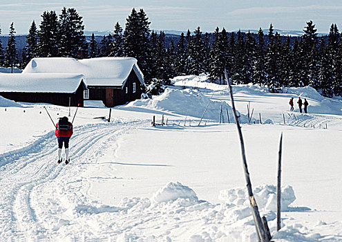 瑞典,越野滑雪,接近,积雪,小屋