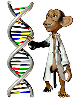 实验室,猴子,基因
