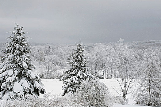 冬季风景,魁北克,加拿大