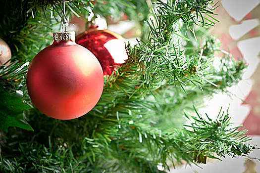 圣诞饰品,树,背景