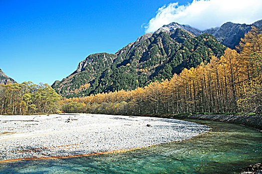 彩色,落叶松属植物,山,秋天