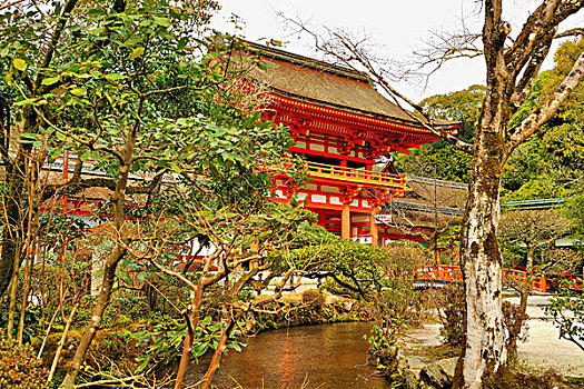 溪流,正面,神社,京都,京都府,日本