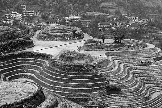 龙胜梯田黑白版画大地行为艺术