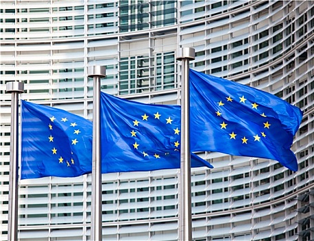 欧洲,旗帜,正面,回扣,建筑,布鲁塞尔