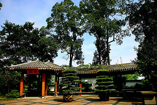 重庆南山植物园中心园区核心景点-盆景园