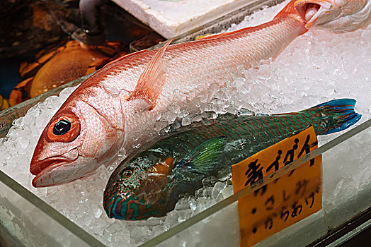 鱼店,冲绳,日本