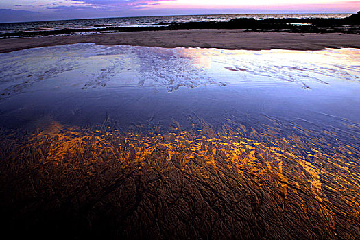 沿岸,海滩,倒影,金伯利,西澳大利亚州,澳大利亚