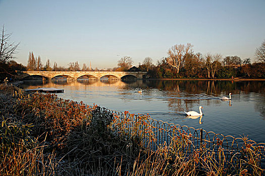 拱桥,上方,湖,蜿蜒,桥,海德公园,伦敦,英格兰