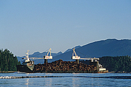 装载,原木,驳船,乔治亚,海峡,不列颠哥伦比亚省,加拿大