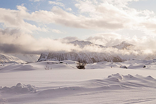 雪景,山,背景,淡色调,低,悬挂,云,罗弗敦群岛,挪威