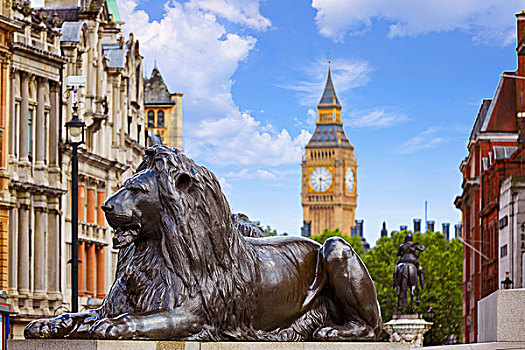 伦敦,特拉法尔加广场,狮子,英国,英格兰