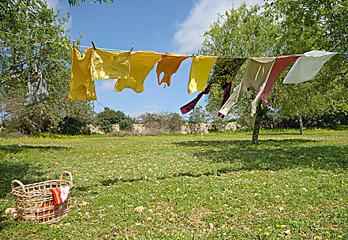 洗衣服,晾衣绳,晴朗,花园