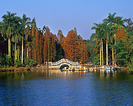 广州华南植物园