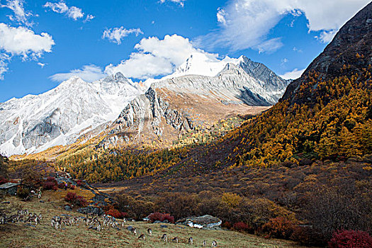 稻城亚丁风光仙乃日雪山