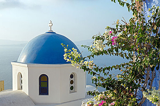 教会,花,锡拉岛,希腊