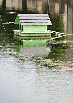 水塘