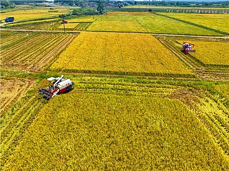 江西金溪,示范创建促粮食增产增效