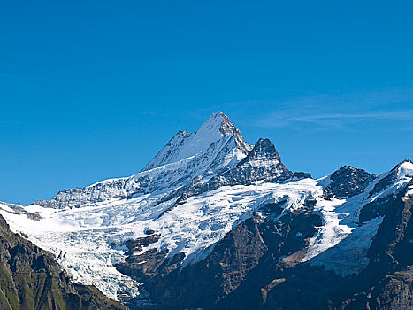 阿尔卑斯雪山