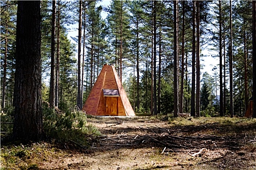 圆锥形帐篷,小屋,树林