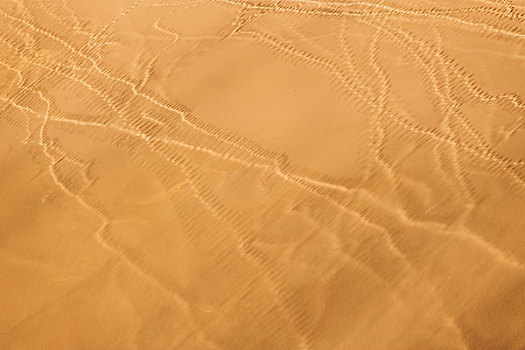 痕迹,沙漠,风景