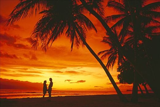 剪影,伴侣,浪漫,海滩,拉海纳,毛伊岛,夏威夷,美国