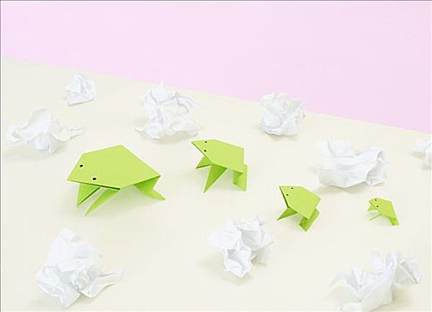 折纸,青蛙,皱,纸