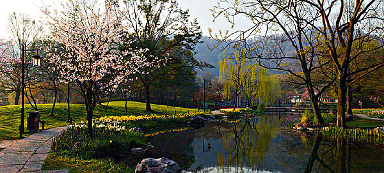 西湖郁金香,太子湾公园