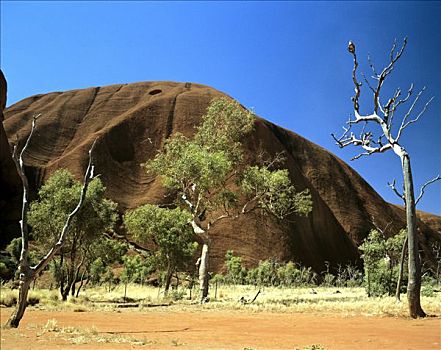 乌卢鲁巨石,艾尔斯巨石,特写,砂岩,北领地州,澳大利亚
