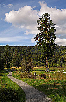 马瑟森湖lake,matheson