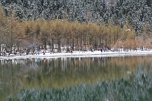 毕棚沟,川西,四姑娘山,雪山,高原彩林