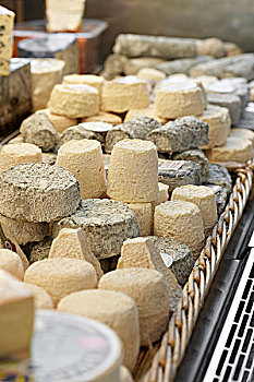 新鲜的,楔,法国山羊奶酪,工匠奶酪店,巴黎,法国