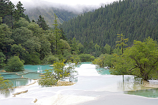 四川黄龙自然风光