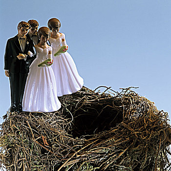 两对夫妇,新郎,新娘,小雕像,鸟窝