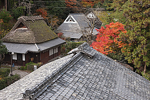 秋色,京都,日本