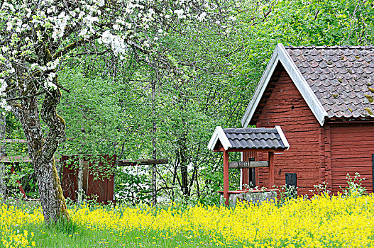 红房,史马兰,瑞典