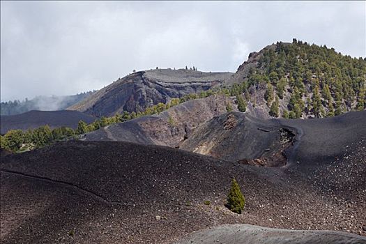 顶峰,火山,路线,帕尔玛,加纳利群岛,西班牙,欧洲